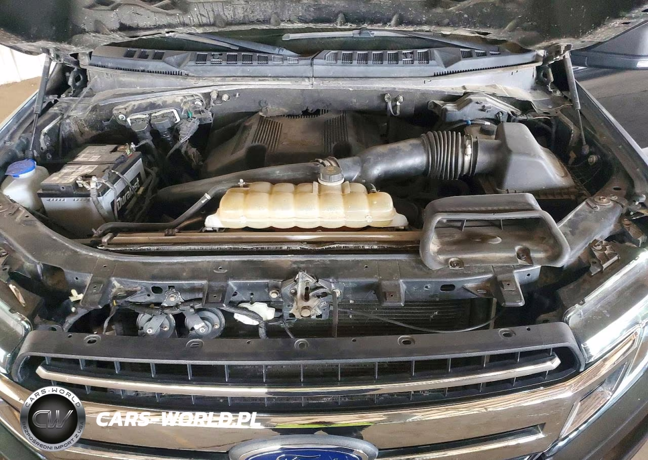 2019 Ford F150 Supercrew VIN:1FTEW1E48KFD39207 - 11