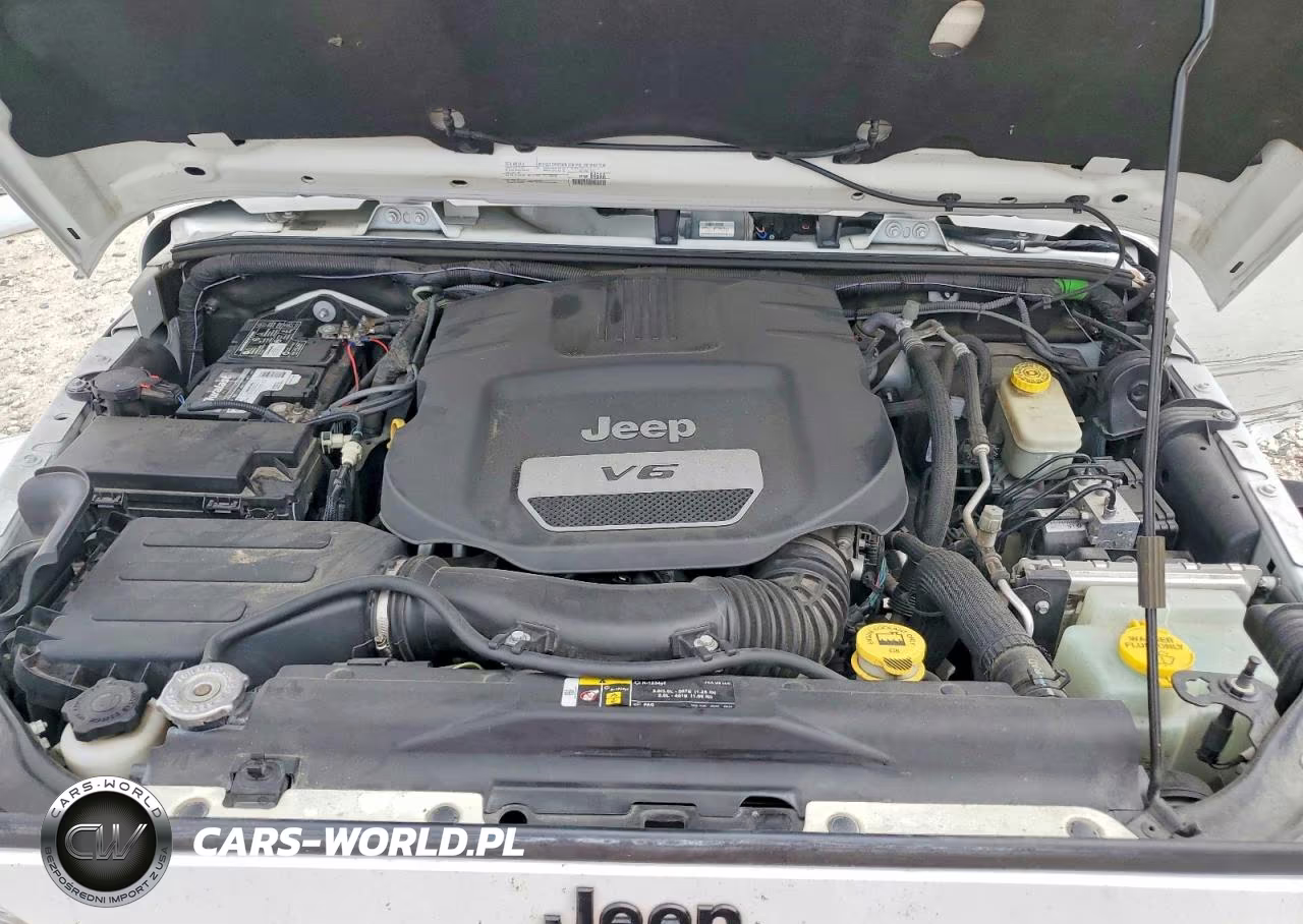 2017 Jeep Wrangler Unlimited Sahara VIN:1C4HJWEGXHL619823 - 12