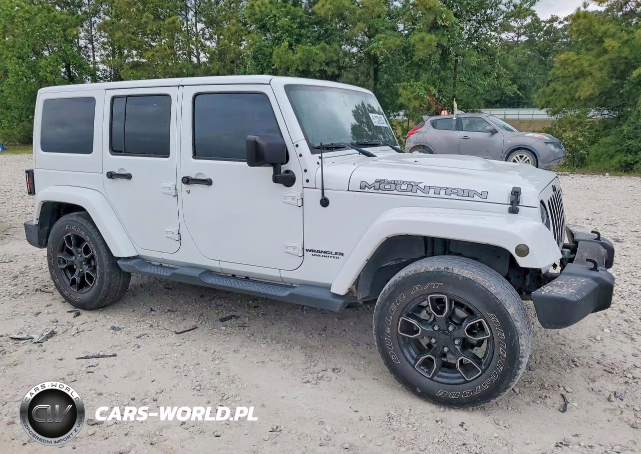 2017 Jeep Wrangler Unlimited Sahara VIN:1C4HJWEGXHL619823 - 4