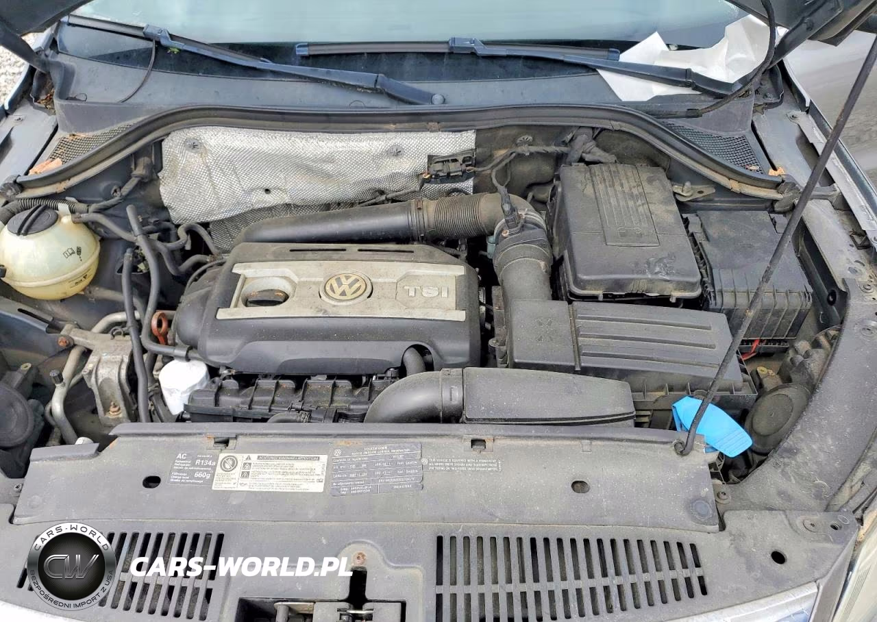 2010 Volkswagen Tiguan Se VIN:WVGBV7AX9AW532050 - 12