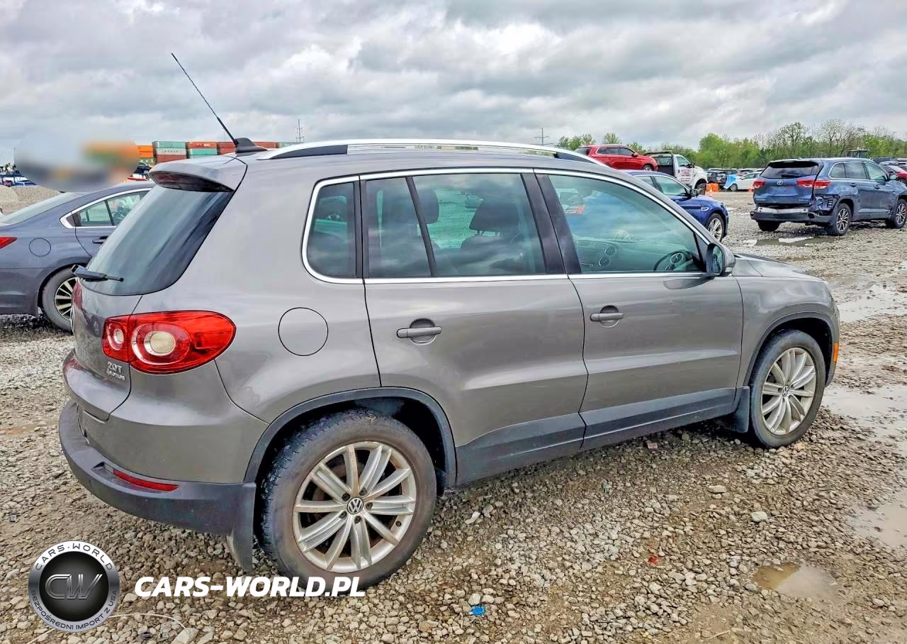 2010 Volkswagen Tiguan Se VIN:WVGBV7AX9AW532050 - 3