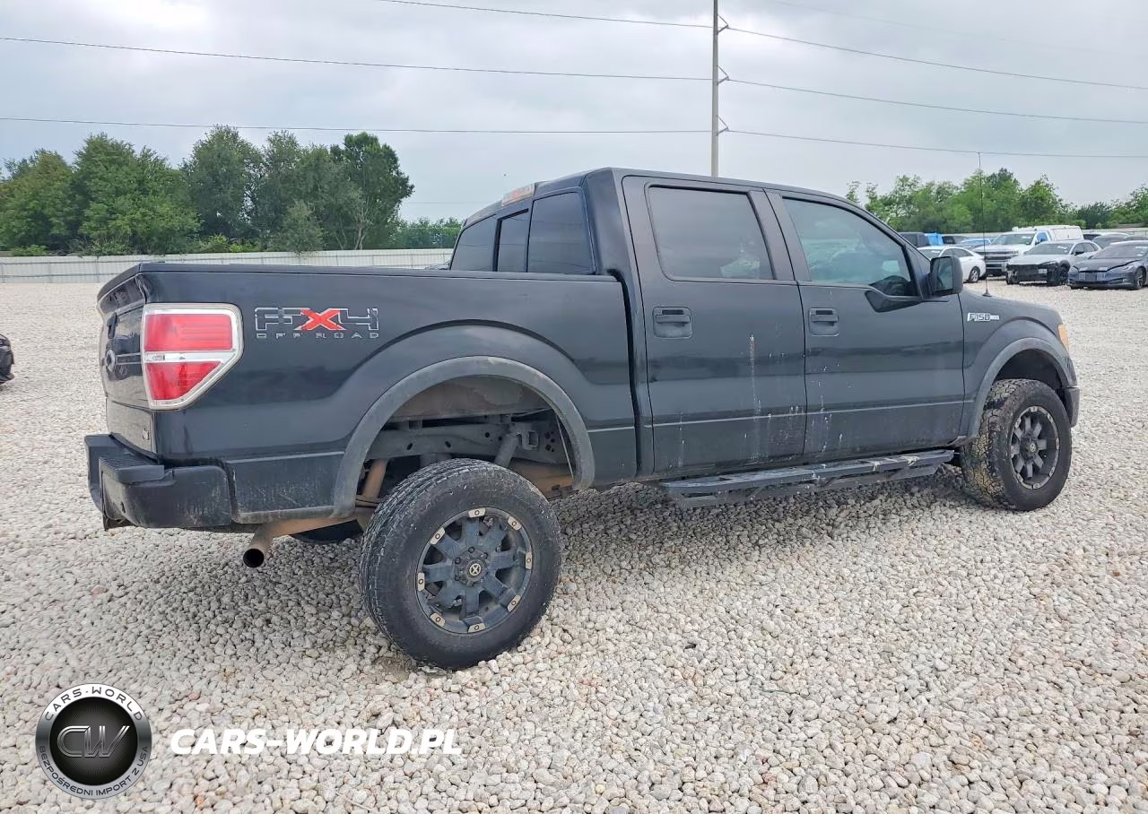 2010 Ford F150 Supercrew VIN:1FTFW1EV3AKE80009 - 3