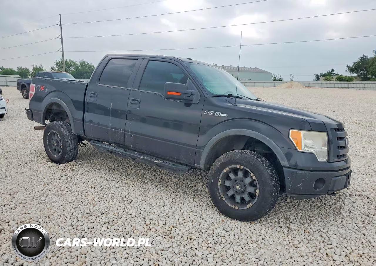 2010 Ford F150 Supercrew VIN:1FTFW1EV3AKE80009 - 4