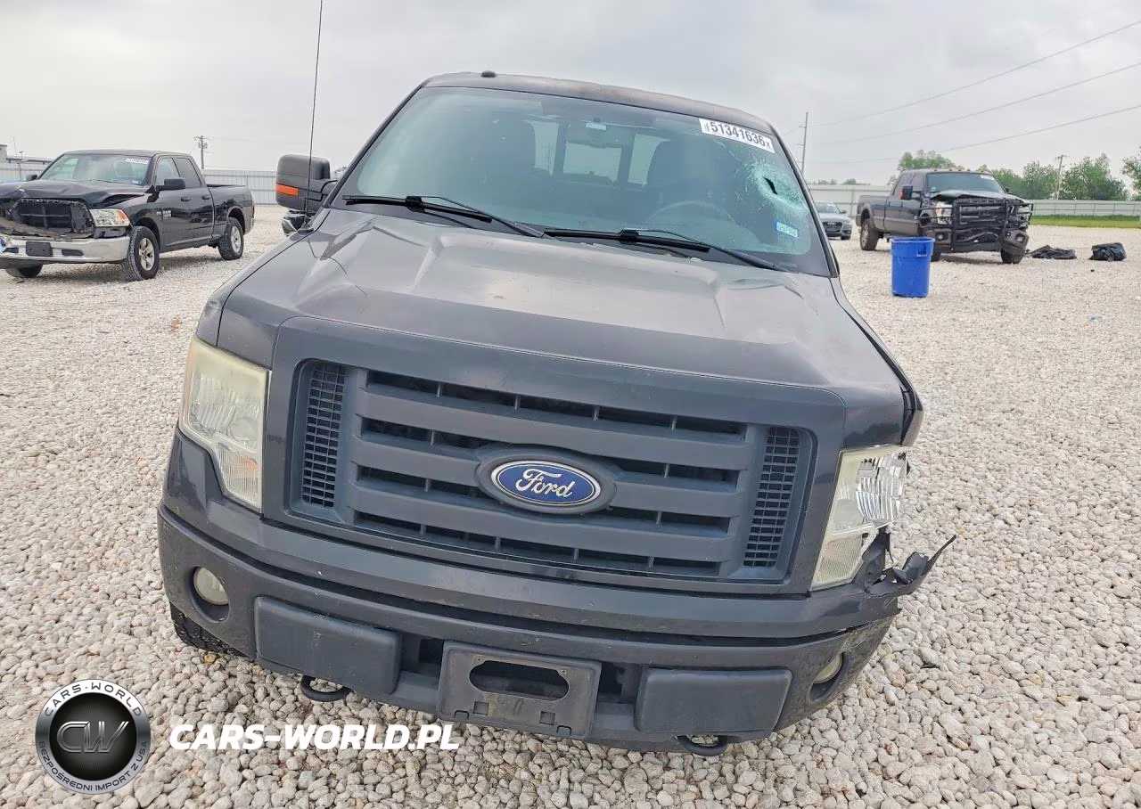 2010 Ford F150 Supercrew VIN:1FTFW1EV3AKE80009 - 5