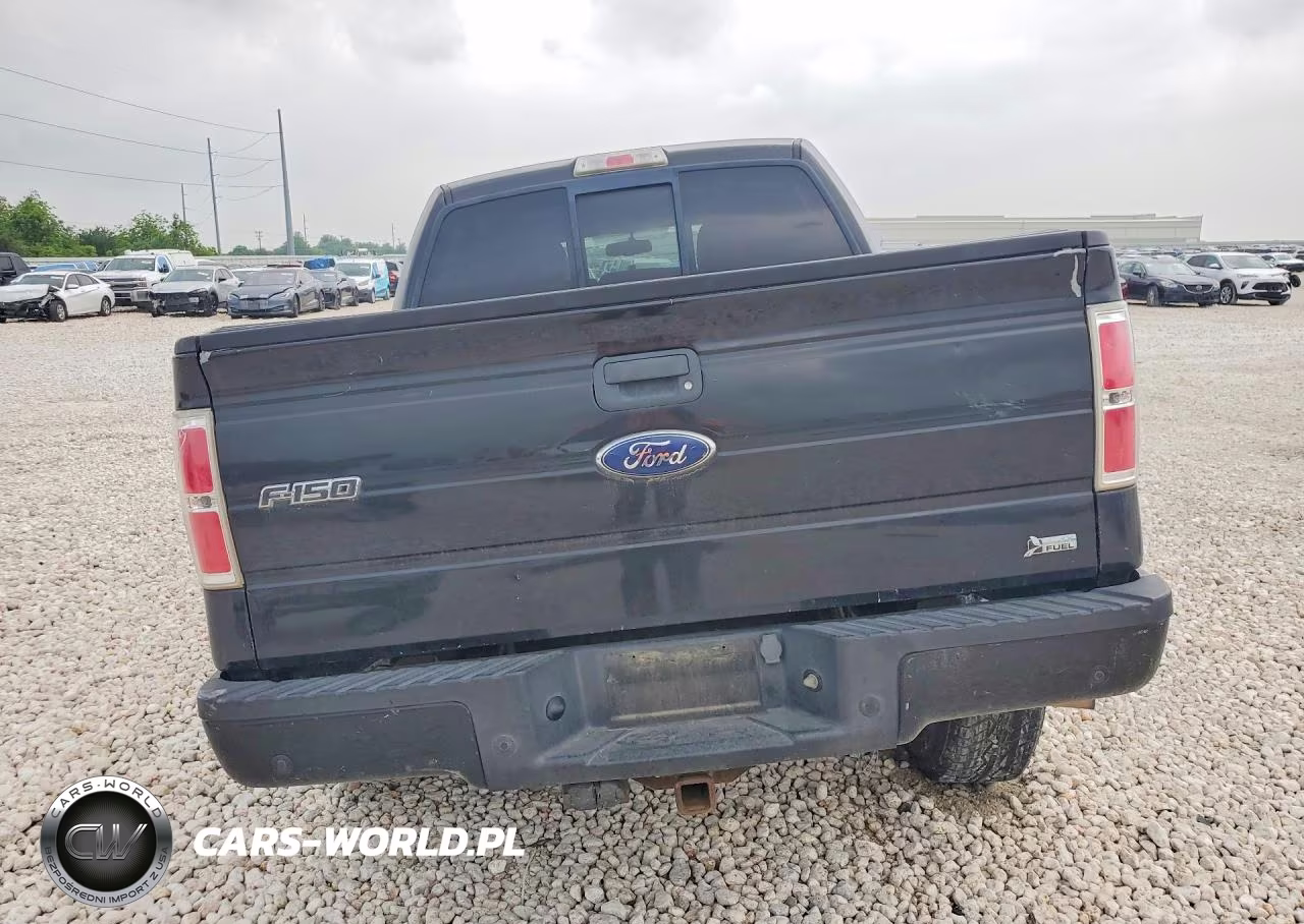 2010 Ford F150 Supercrew VIN:1FTFW1EV3AKE80009 - 6