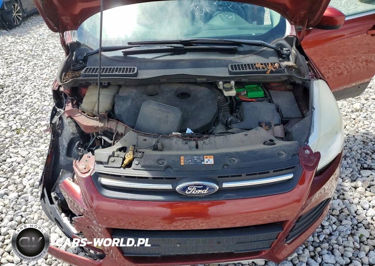 2014 Ford Escape Se VIN:1FMCU0G98EUD64958 - 12