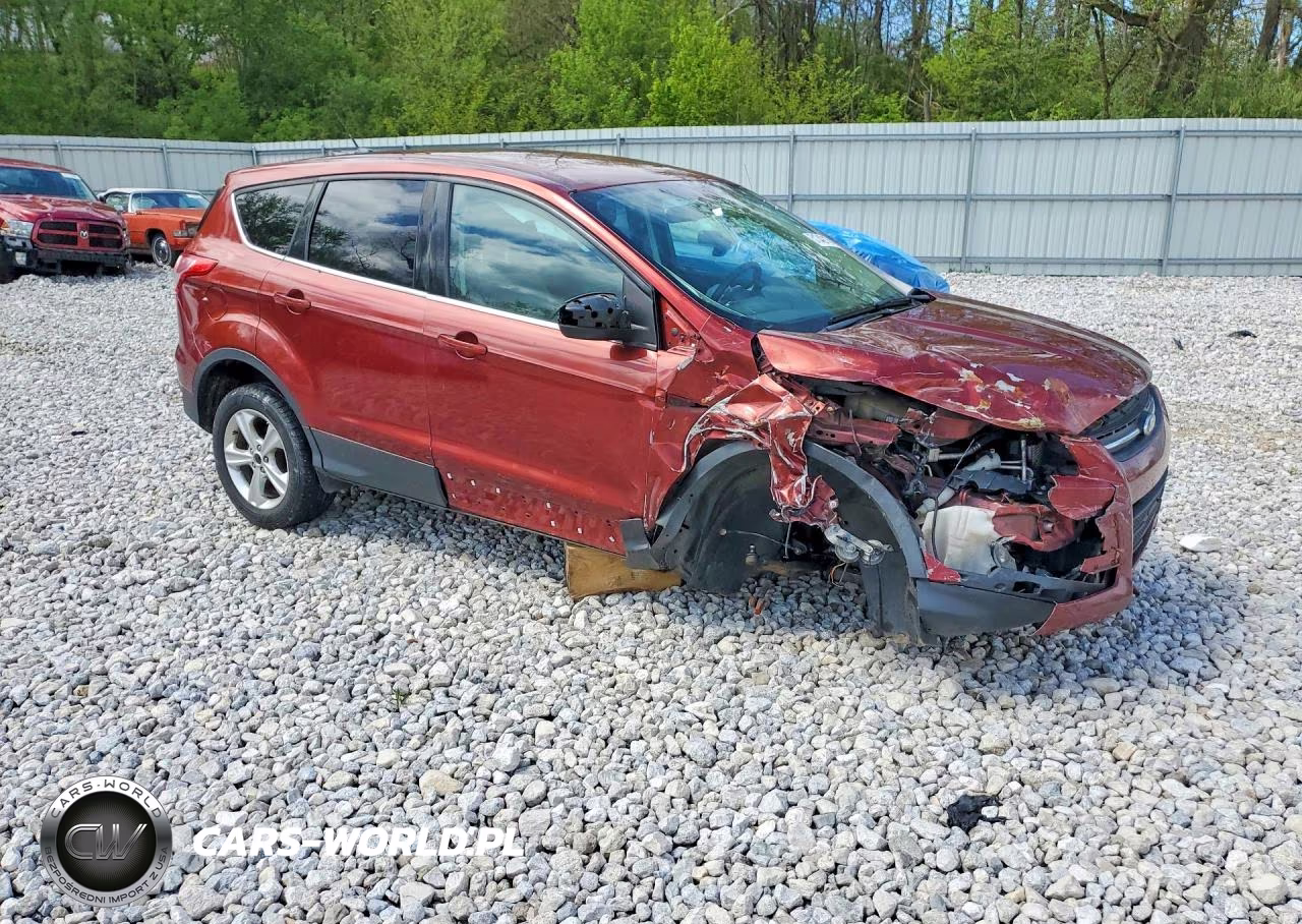 2014 Ford Escape Se VIN:1FMCU0G98EUD64958 - 4