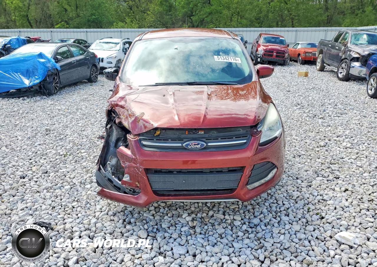 2014 Ford Escape Se VIN:1FMCU0G98EUD64958 - 5
