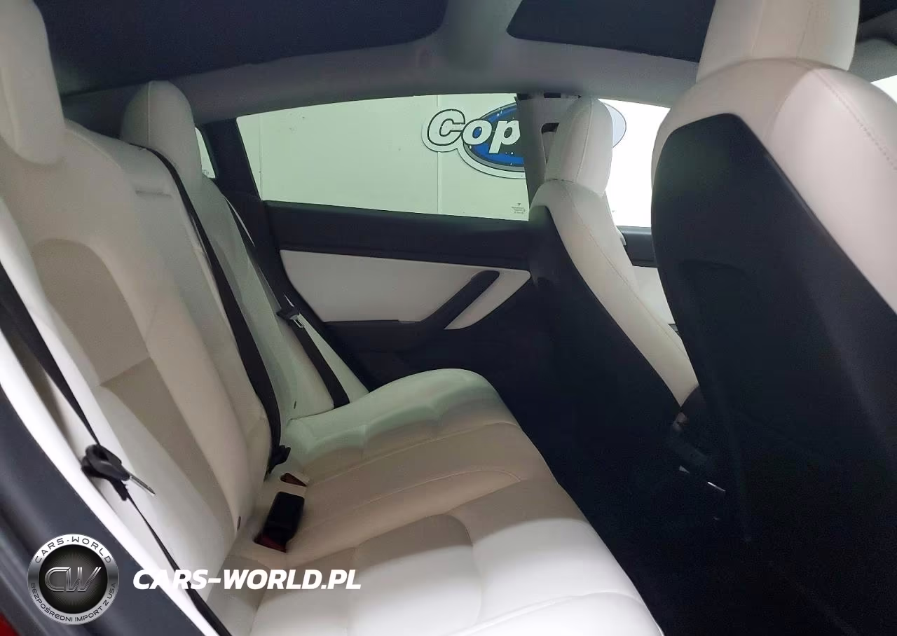 2020 Tesla Model 3 VIN:5YJ3E1EAXLF614985 - 10