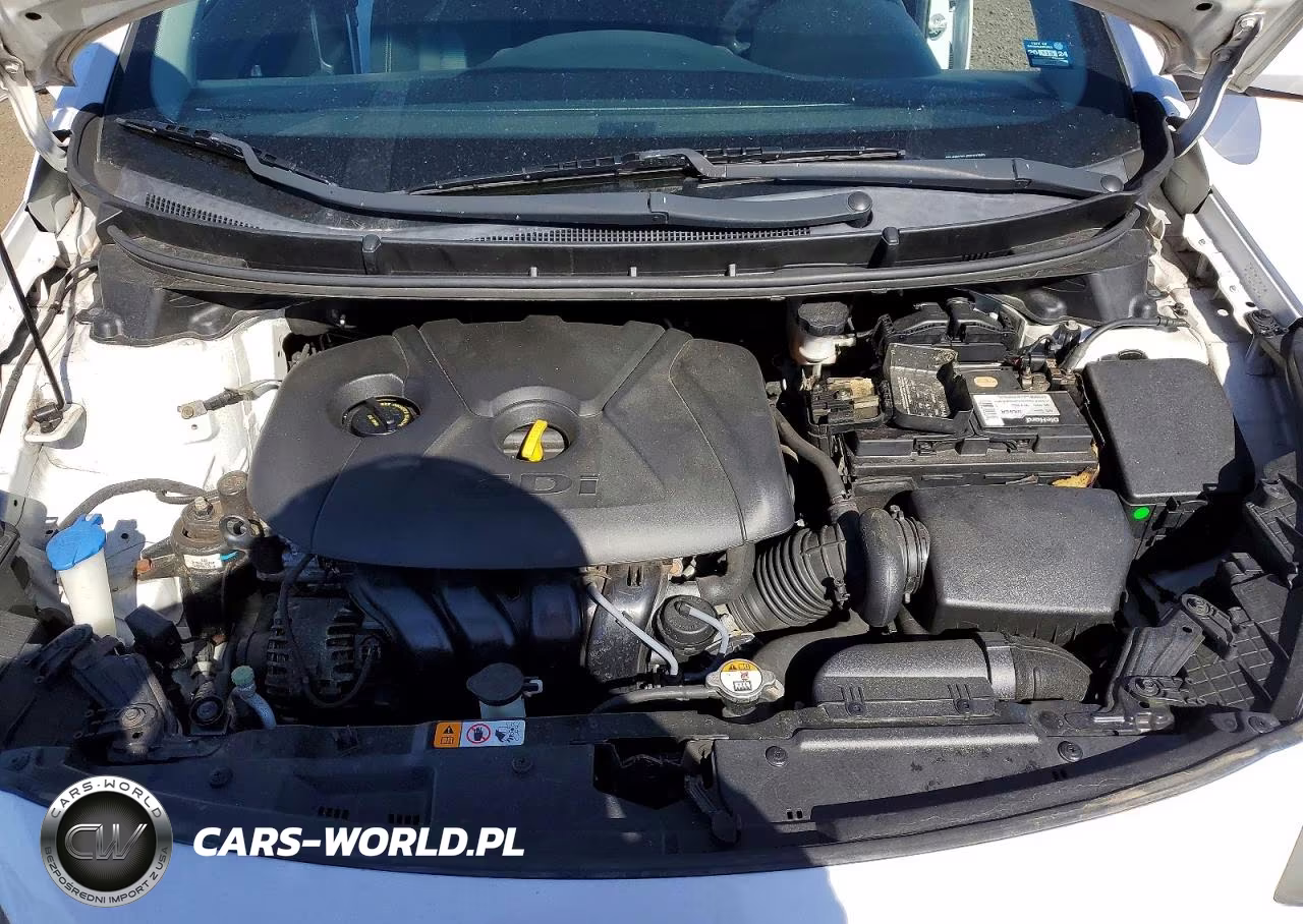 2014 Hyundai Elantra Gt Base VIN:KMHD35LH9EU223883 - 11