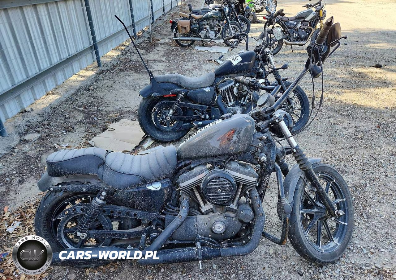 2019 Harley-Davidson Xl883 N
