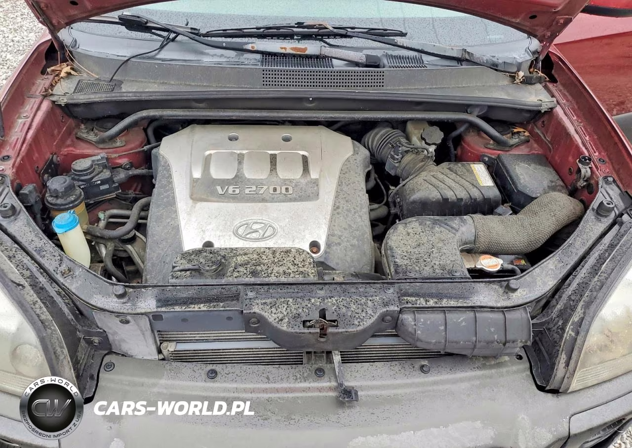2005 Hyundai Tucson Gls VIN:KM8JN12D25U115867 - 12
