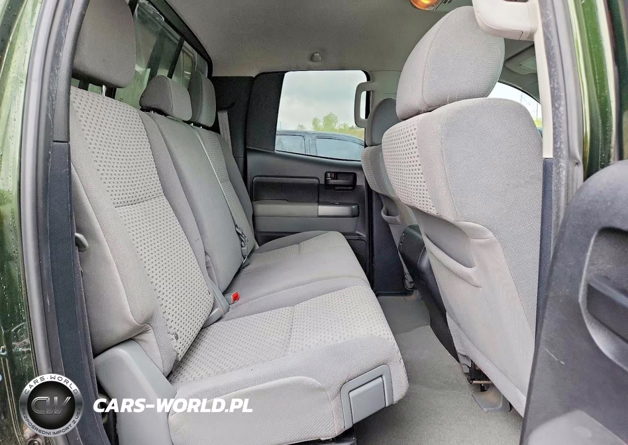 2010 Toyota Tundra Double Cab Sr5 VIN:5TFUW5F13AX120168 - 10