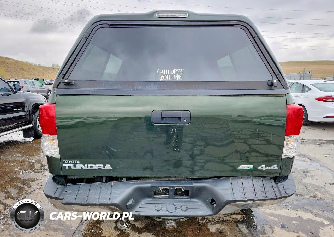 2010 Toyota Tundra Double Cab Sr5 VIN:5TFUW5F13AX120168 - 6
