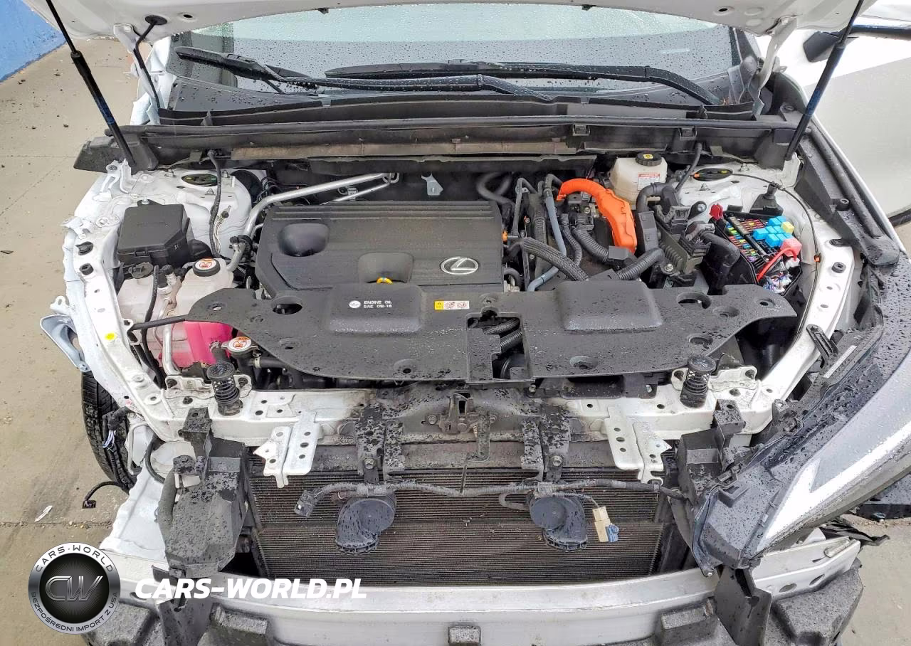 2024 Lexus Nx 350H Premium VIN:JTJGKCEZ6R5013866 - 12