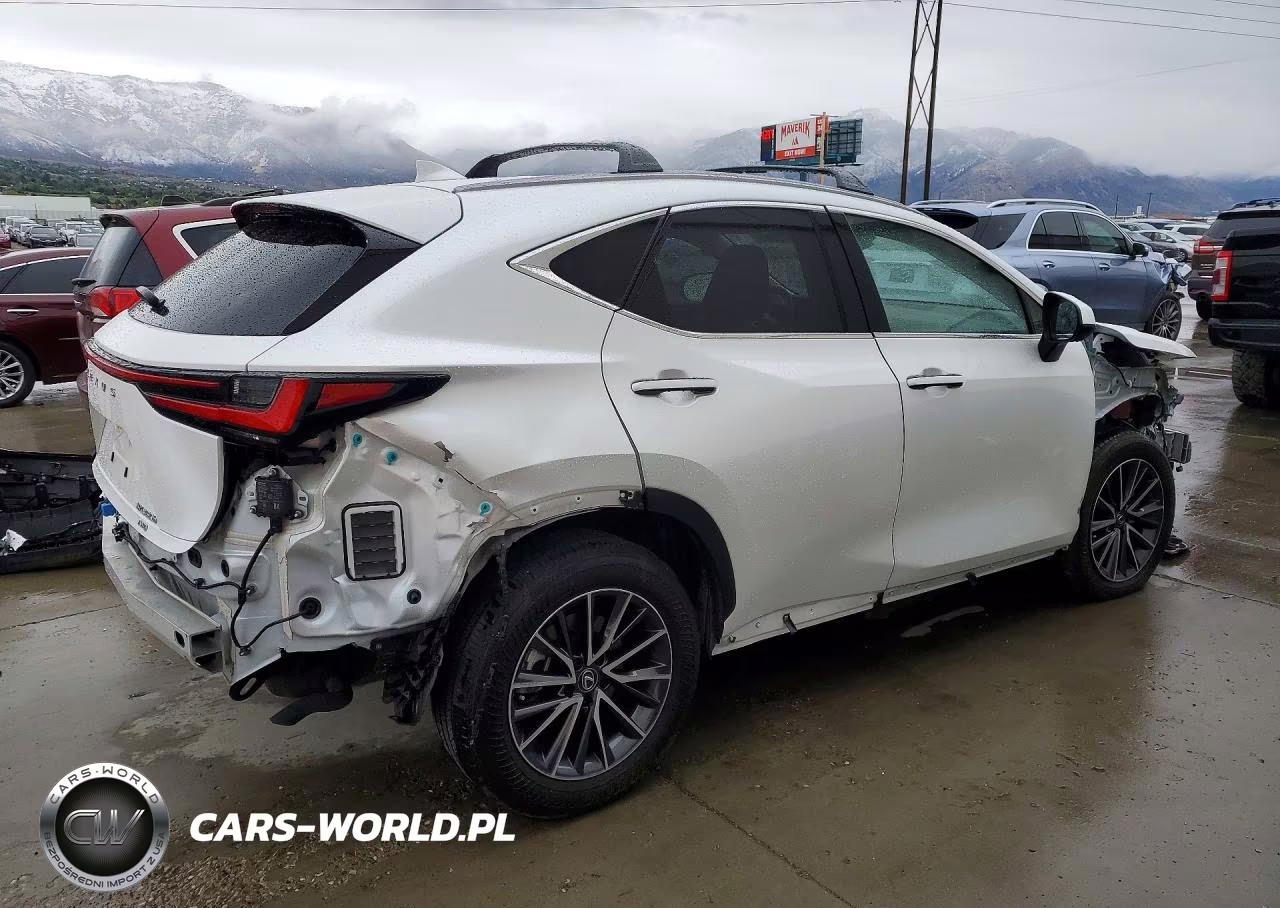 2024 Lexus Nx 350H Premium VIN:JTJGKCEZ6R5013866 - 3