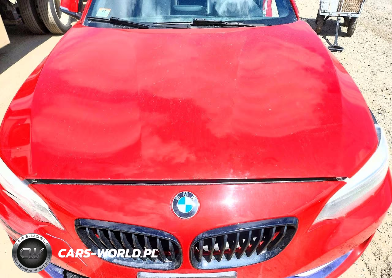 2016 BMW 228 Xi Sulev VIN:WBA1G9C5XGV599026 - 11