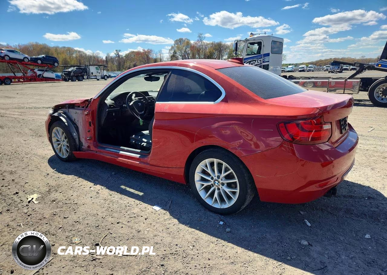 2016 BMW 228 Xi Sulev VIN:WBA1G9C5XGV599026 - 2