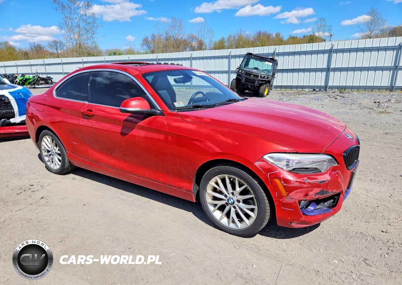 2016 BMW 228 Xi Sulev VIN:WBA1G9C5XGV599026 - 4