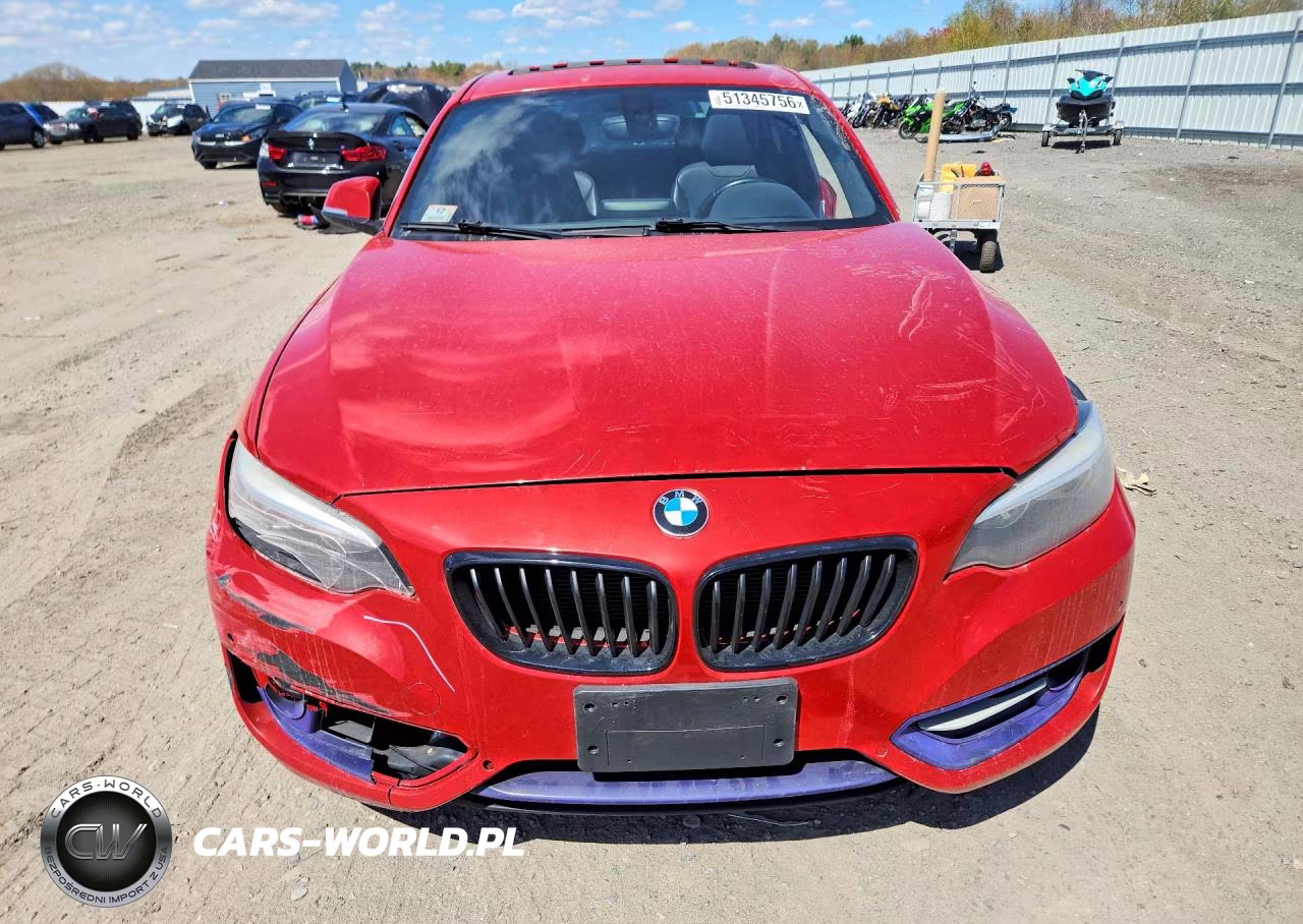 2016 BMW 228 Xi Sulev VIN:WBA1G9C5XGV599026 - 5