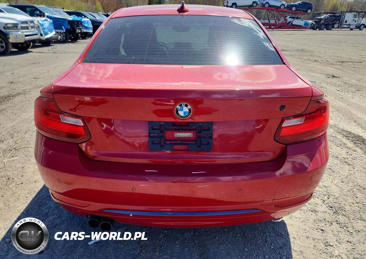 2016 BMW 228 Xi Sulev VIN:WBA1G9C5XGV599026 - 6