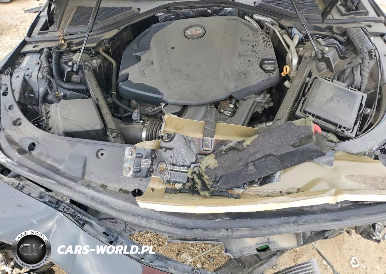 2020 Cadillac Ct6 Luxury Csav VIN:1G6KE5RS8LU108832 - 11