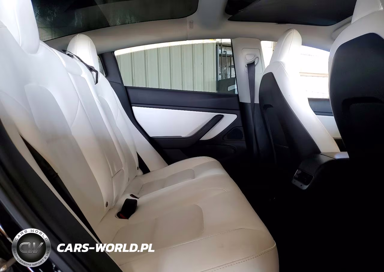 2019 Tesla Model 3 VIN:5YJ3E1EA8KF409339 - 10