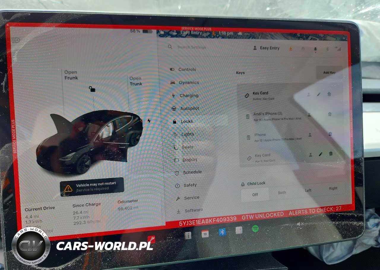 2019 Tesla Model 3 VIN:5YJ3E1EA8KF409339 - 9