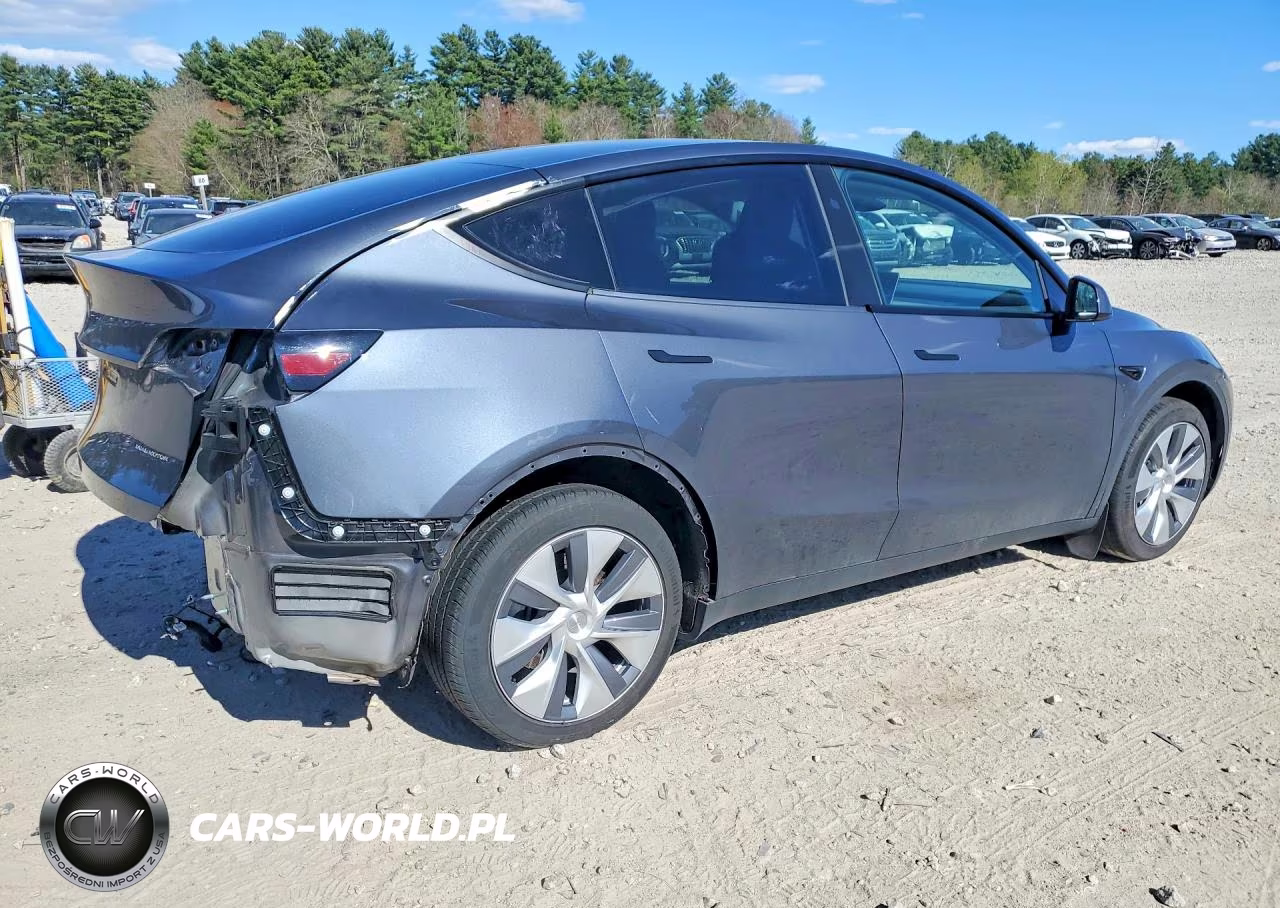 2023 Tesla Model Y VIN:7SAYGAEE5PF935196 - 3