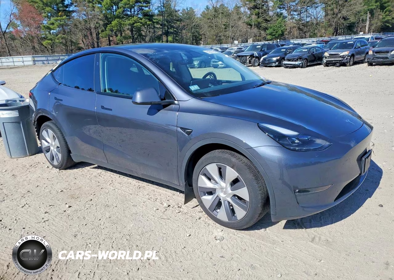 2023 Tesla Model Y VIN:7SAYGAEE5PF935196 - 4