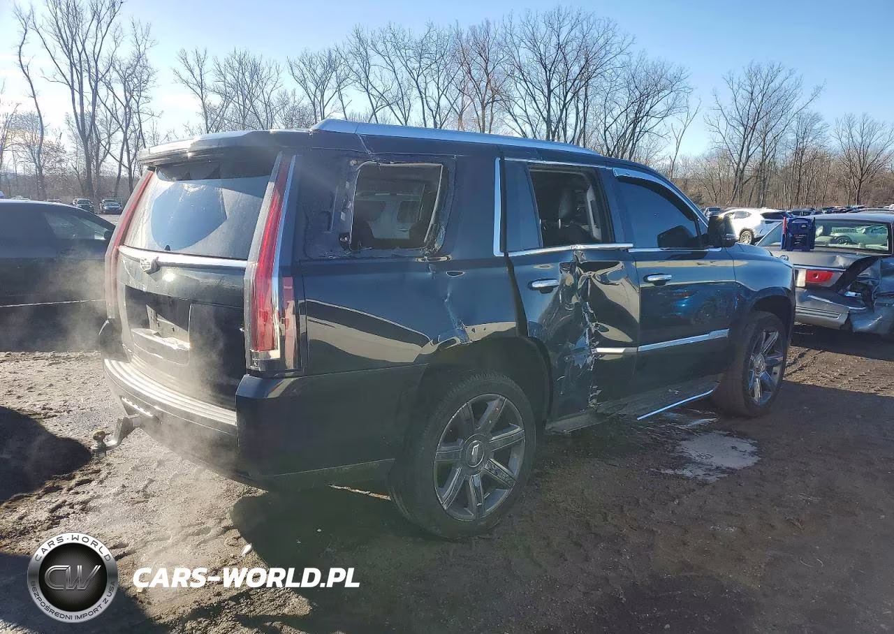 2016 Cadillac Escalade Luxury VIN:1GYS4BKJ3GR458095 - 5