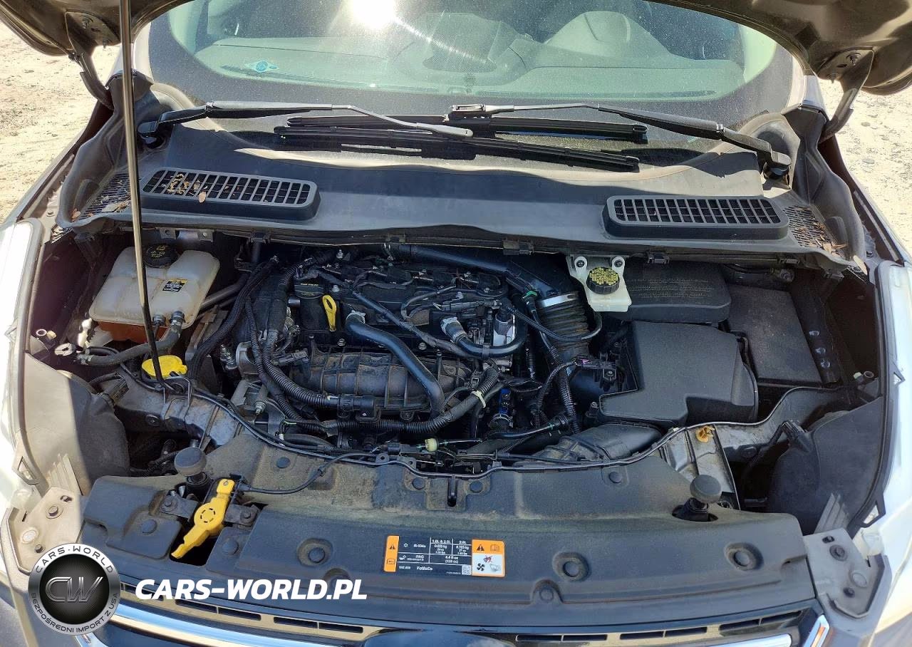 2013 Ford Escape Sel VIN:1FMCU0HX4DUD63947 - 12
