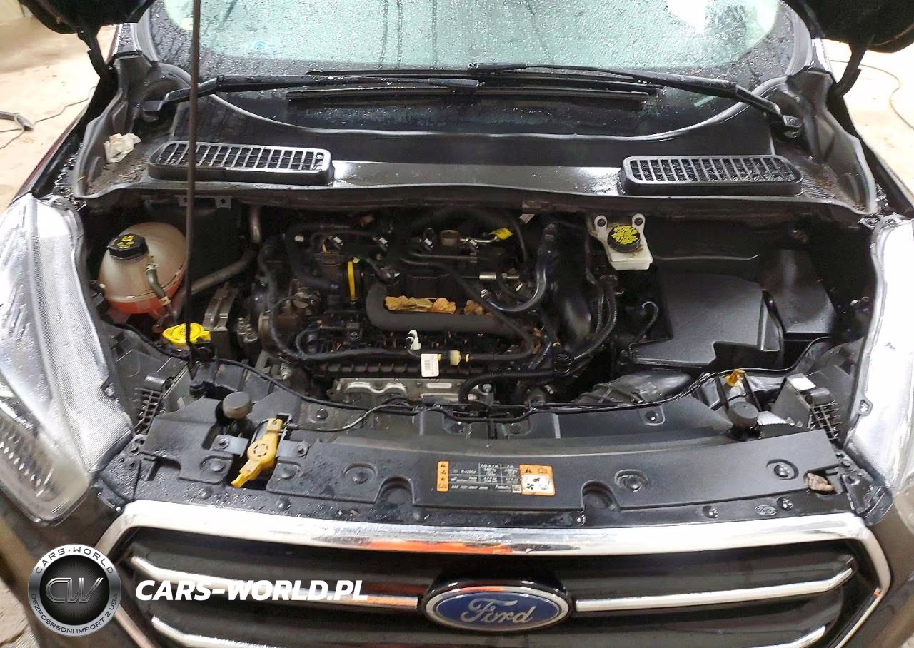 2019 Ford Escape Se VIN:1FMCU9GD5KUA52827 - 12
