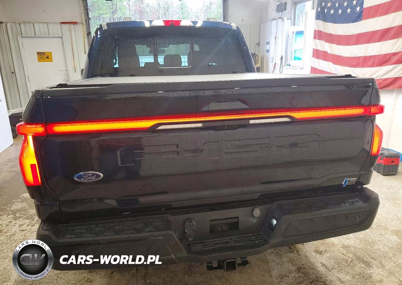 2023 Ford F150 Lightning Pro VIN:1FTVW1EV1PWG29160 - 6