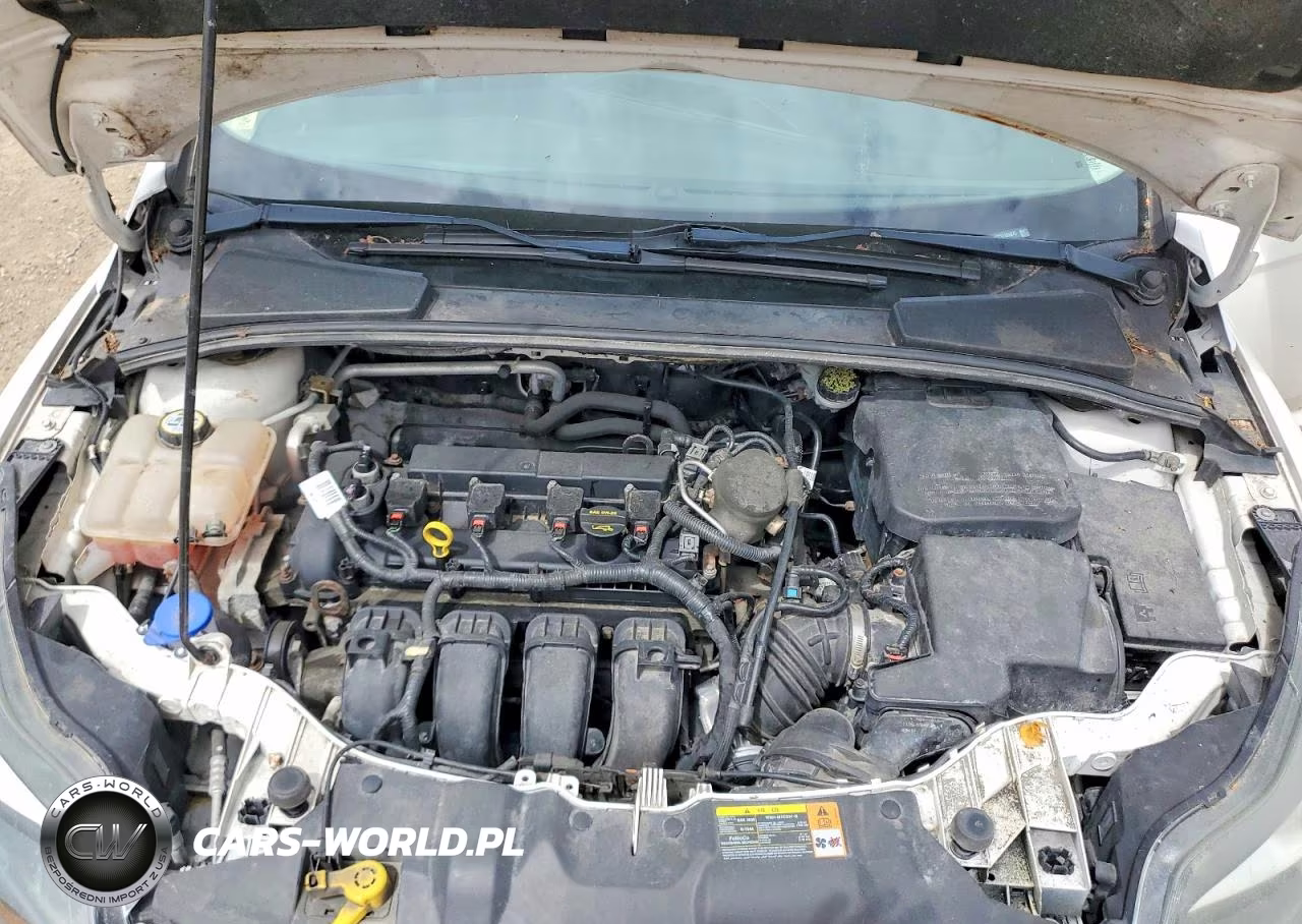 2013 Ford Focus Titanium VIN:1FADP3N25DL131072 - 11