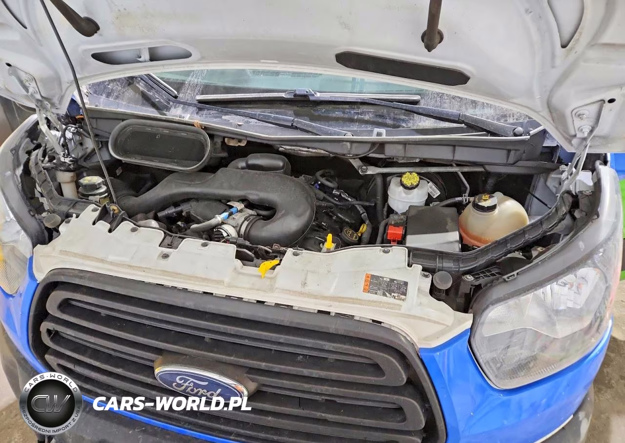2019 Ford Transit T-250 Delivery Van VIN:1FTYR2CM8KKB46544 - 11