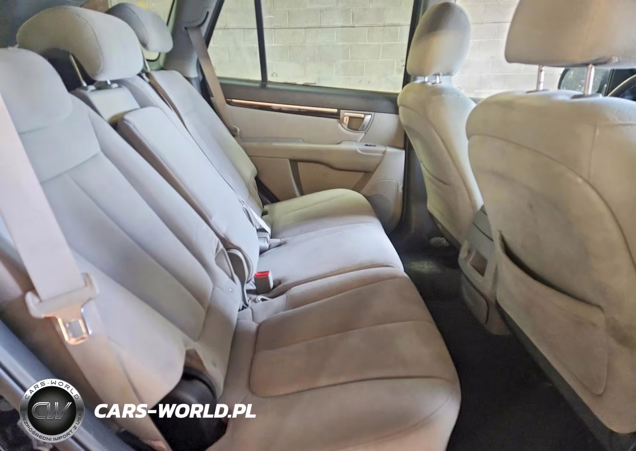 2009 Hyundai Santa Fe Gls VIN:5NMSG13D39H294046 - 11