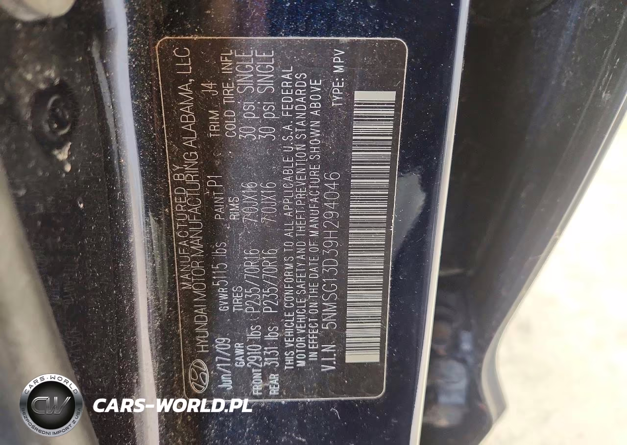 2009 Hyundai Santa Fe Gls VIN:5NMSG13D39H294046 - 13