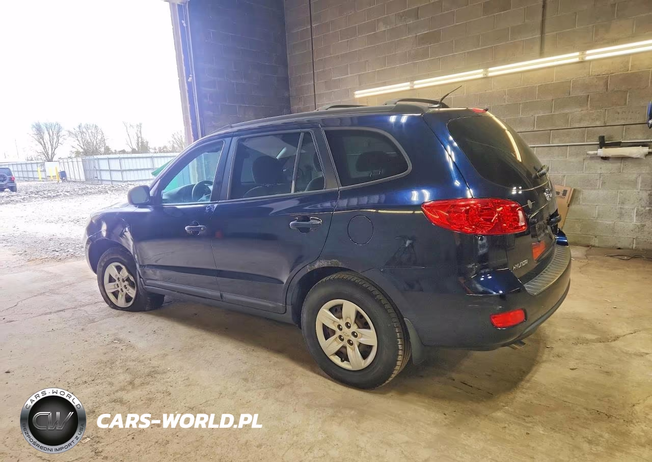 2009 Hyundai Santa Fe Gls VIN:5NMSG13D39H294046 - 2