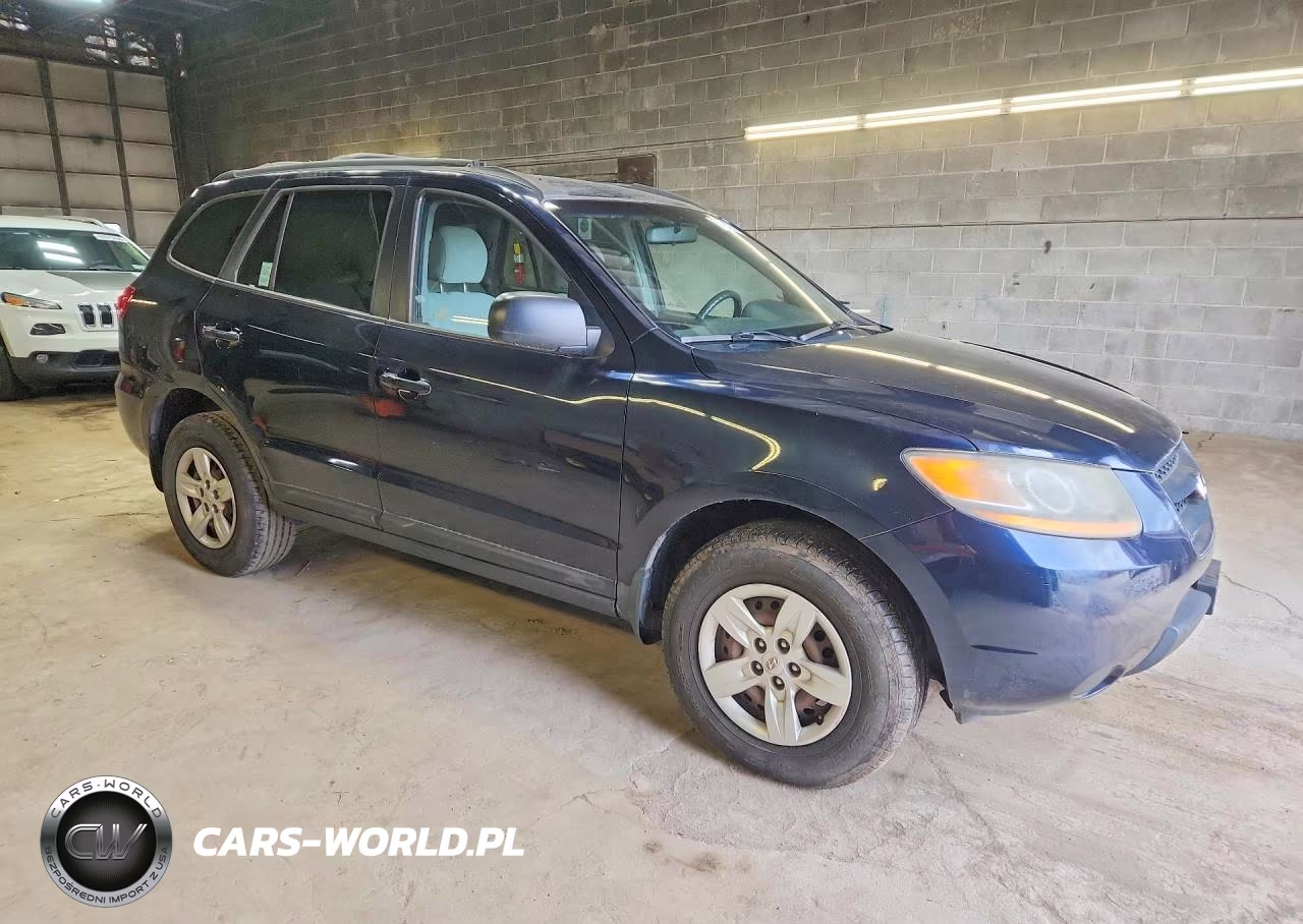 2009 Hyundai Santa Fe Gls VIN:5NMSG13D39H294046 - 4