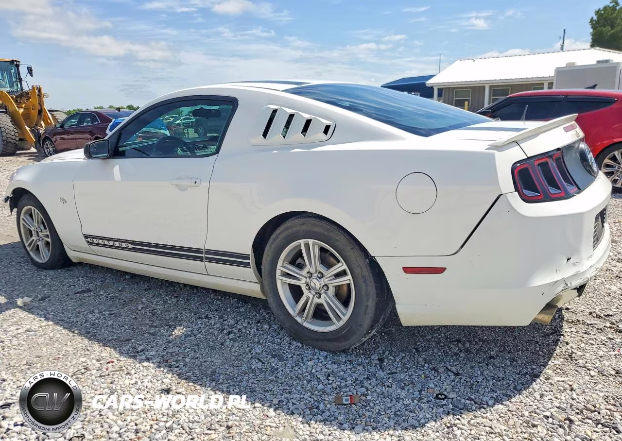 2013 Ford Mustang VIN:1ZVBP8AMXD5266913 - 2