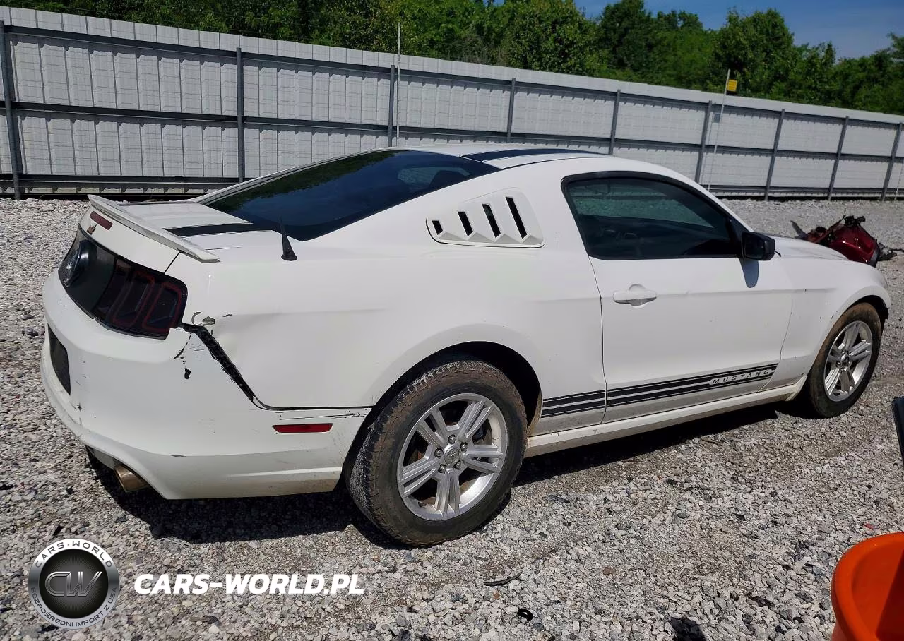 2013 Ford Mustang VIN:1ZVBP8AMXD5266913 - 3
