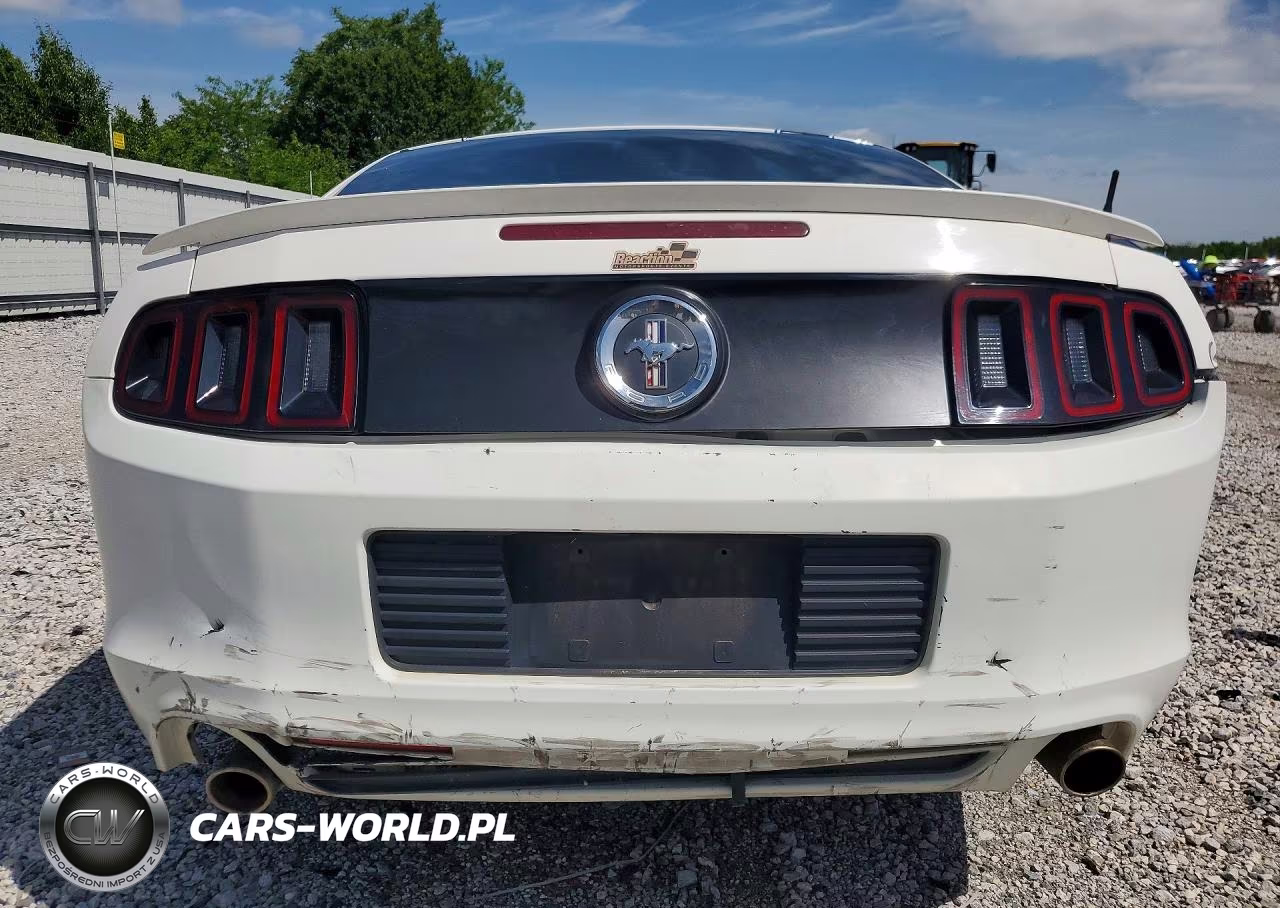 2013 Ford Mustang VIN:1ZVBP8AMXD5266913 - 6