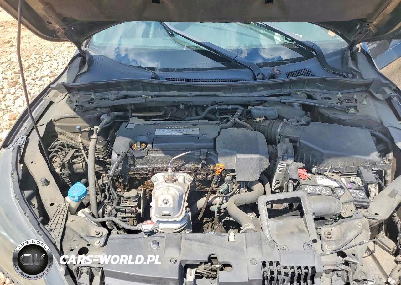 2013 Honda Accord Exl VIN:1HGCR2F84DA106271 - 11