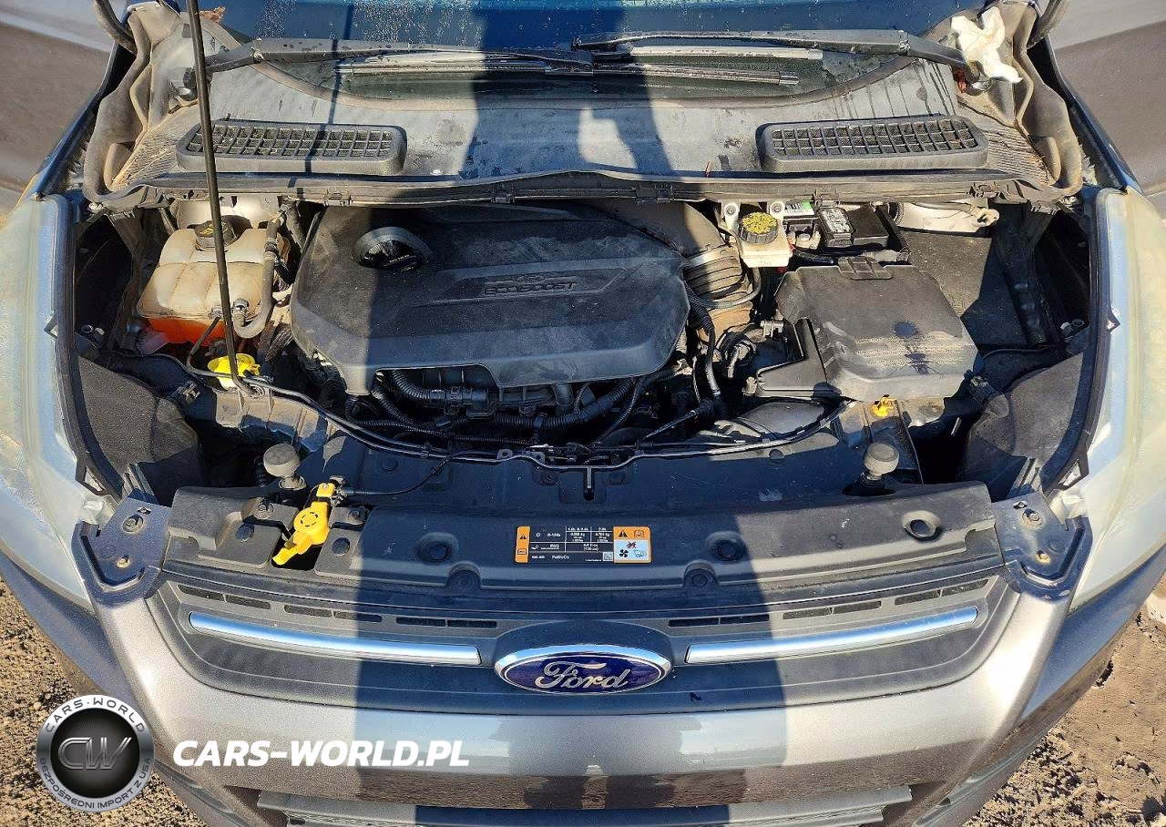 2014 Ford Escape Se VIN:1FMCU9GX8EUC72770 - 12