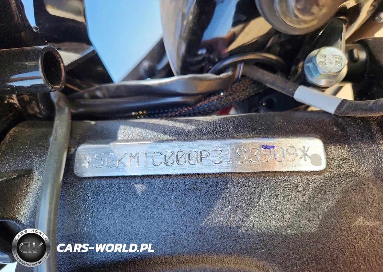 2023 Indian Motorcycle Co. Scout Rogue Abs VIN:56KMTC000P3193909 - 9