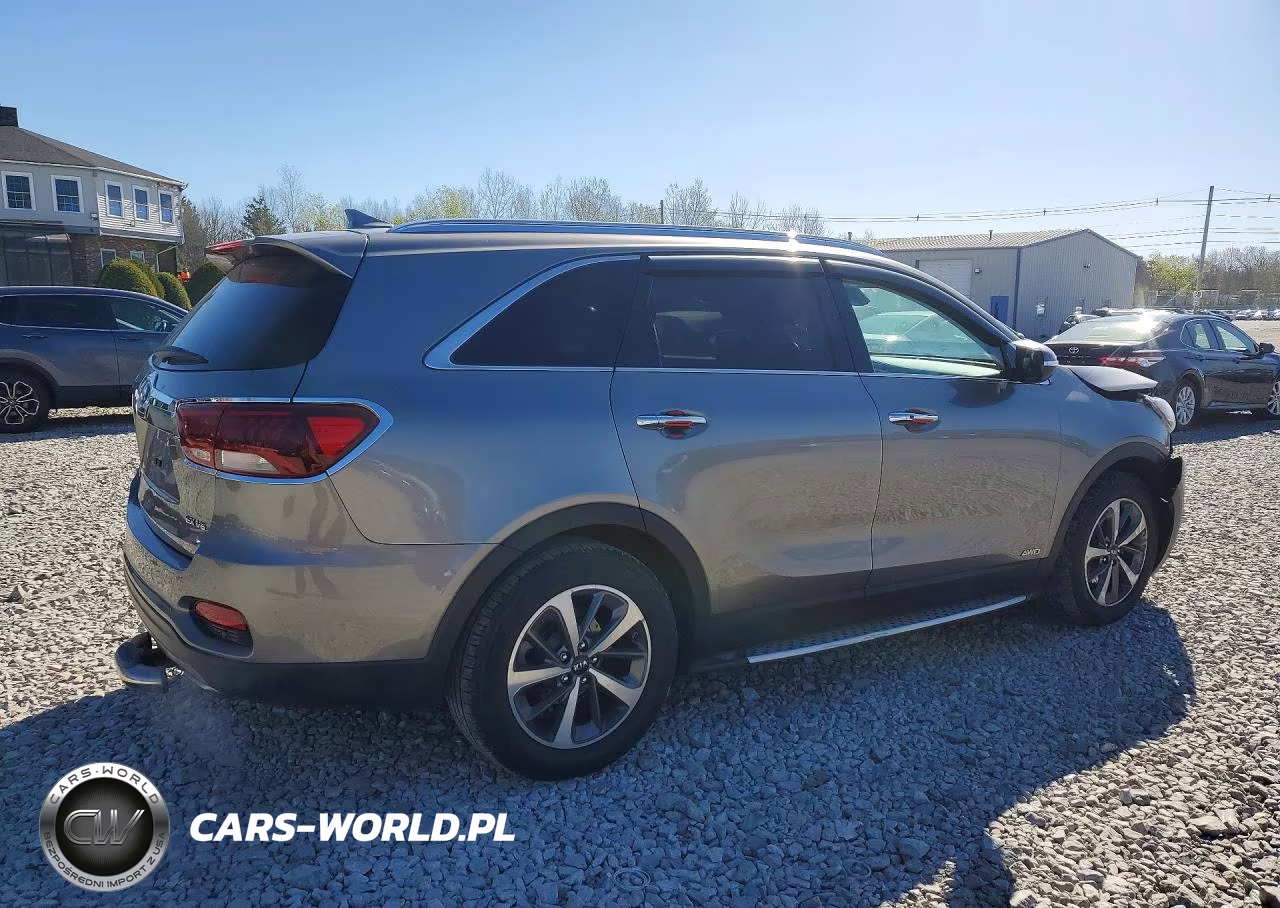 2019 Kia Sorento Ex V6 VIN:5XYPHDA59KG499967 - 3