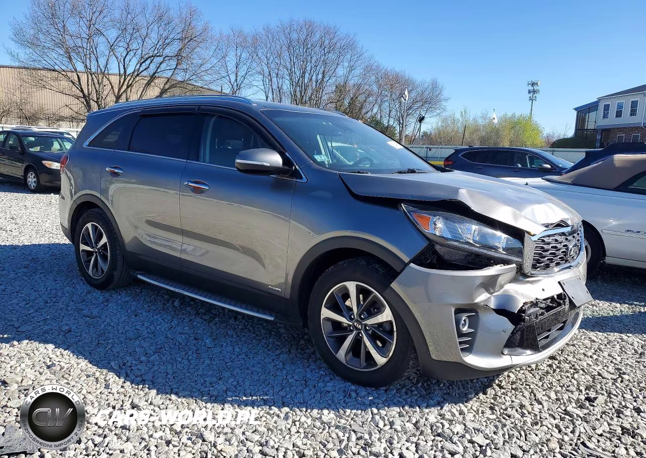 2019 Kia Sorento Ex V6 VIN:5XYPHDA59KG499967 - 4