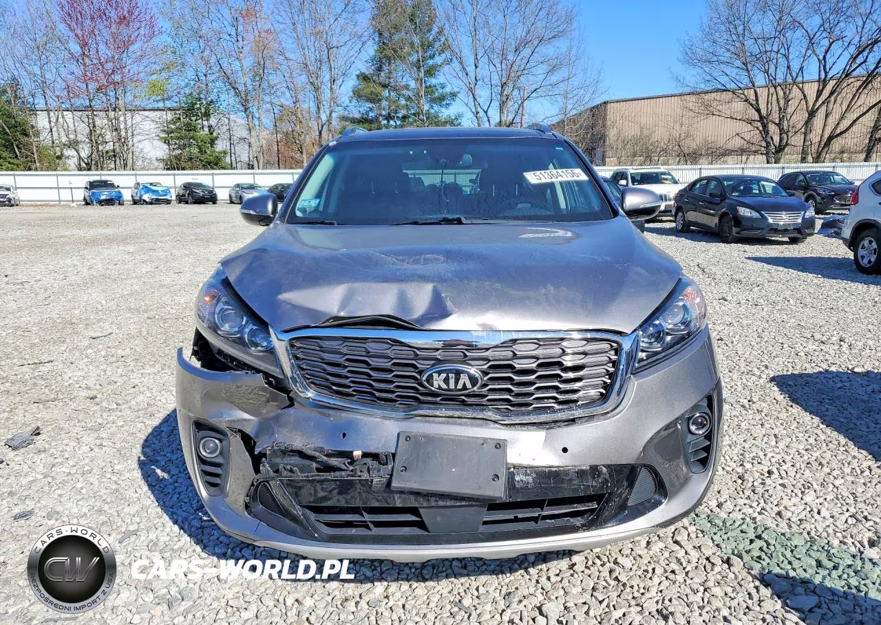 2019 Kia Sorento Ex V6 VIN:5XYPHDA59KG499967 - 5