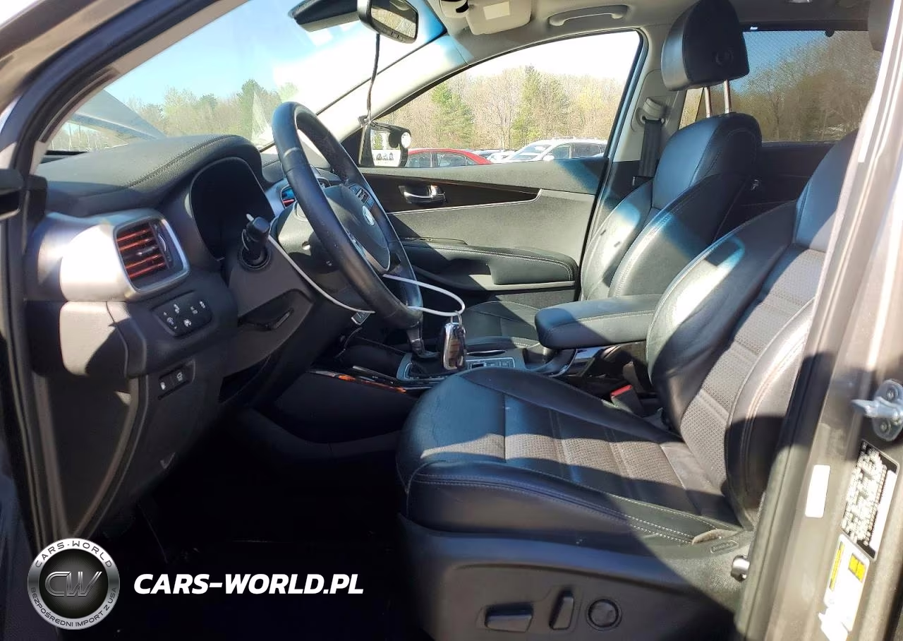 2019 Kia Sorento Ex V6 VIN:5XYPHDA59KG499967 - 7